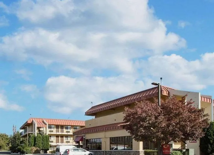 Morningglory Inn & Suites