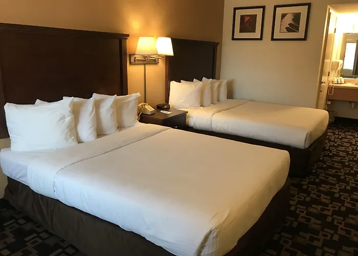 Morningglory Inn & Suites